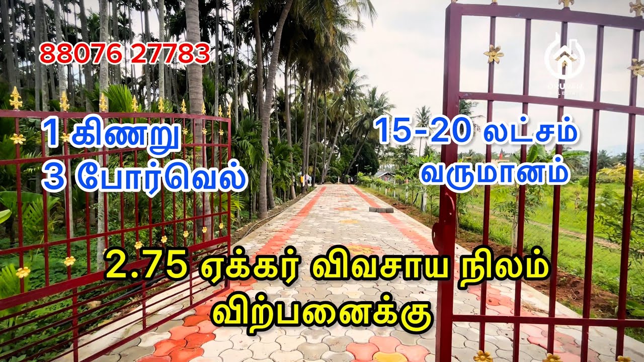 2.75 acre agri land for sale | விவசாய நிலம் விற்பனைக்கு | farmland | Agriculture land for sale