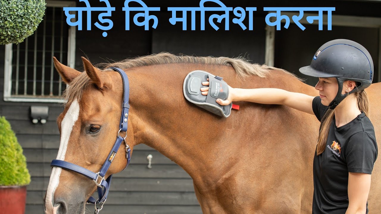 घोड़े को मिट्टी में लेटाना मालिश करना और नहलाना #bathing  #horseriding#horse#horselover#mud #massage