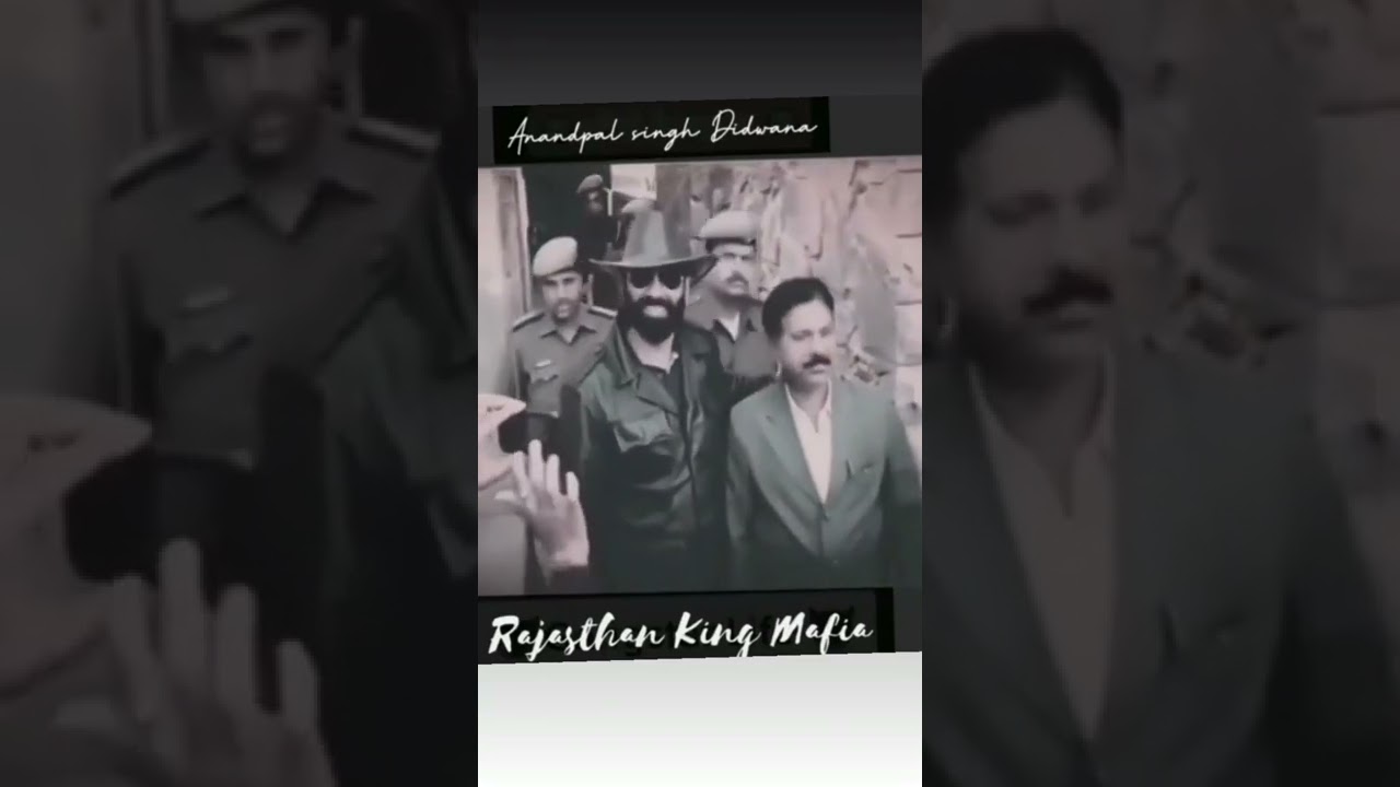 Rajasthan ka Babbar Sher #anandpal Singh Tanwar Short feed