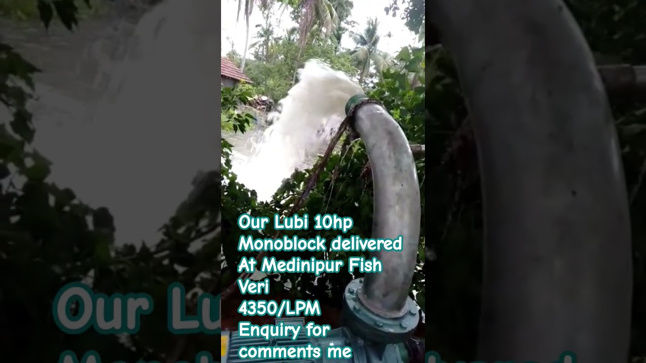 Lubi monoblock pump performance 10hp 6
