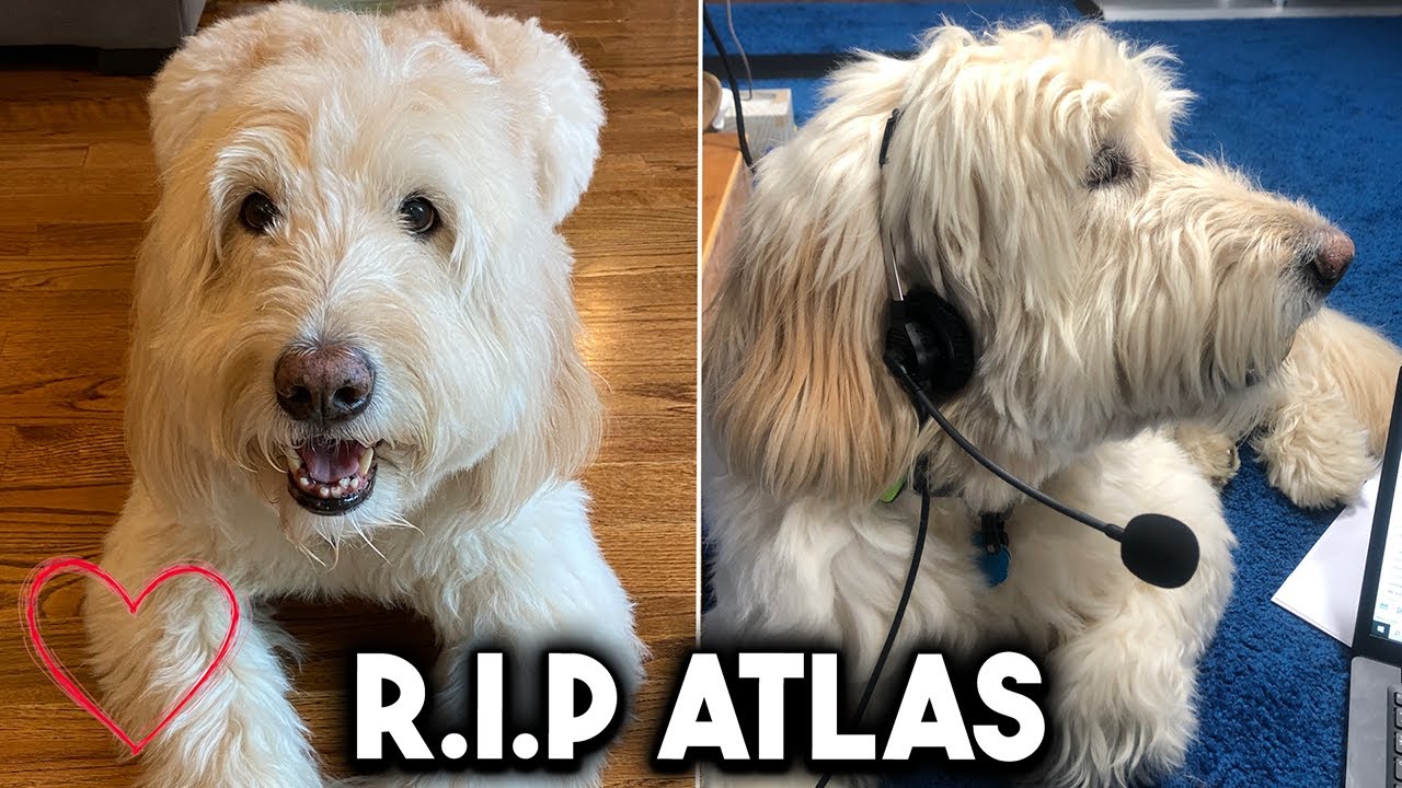 Remembering Atlas Banfield: Our Studio&rsquo;s Best Boy