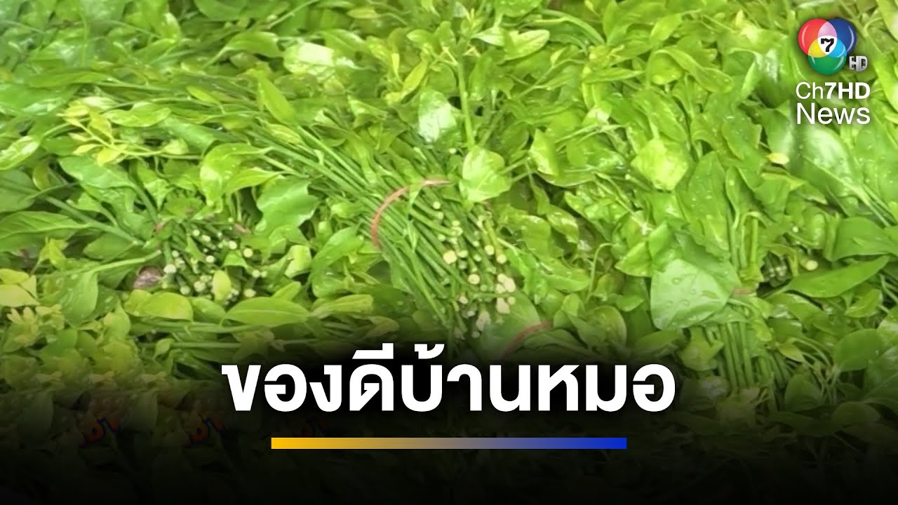พาไปชม แหล่งปลูก 