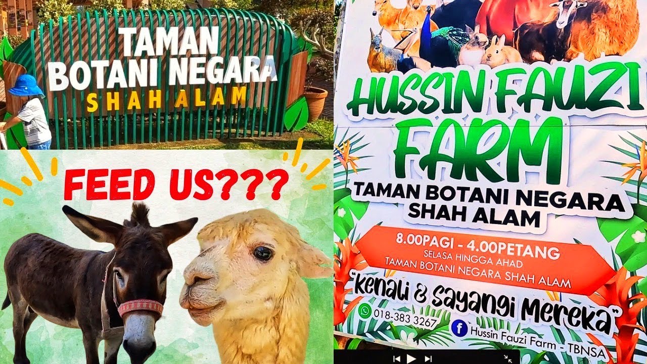 TAMAN BOTANI NEGARA| Bus Ride And Animal Feeding