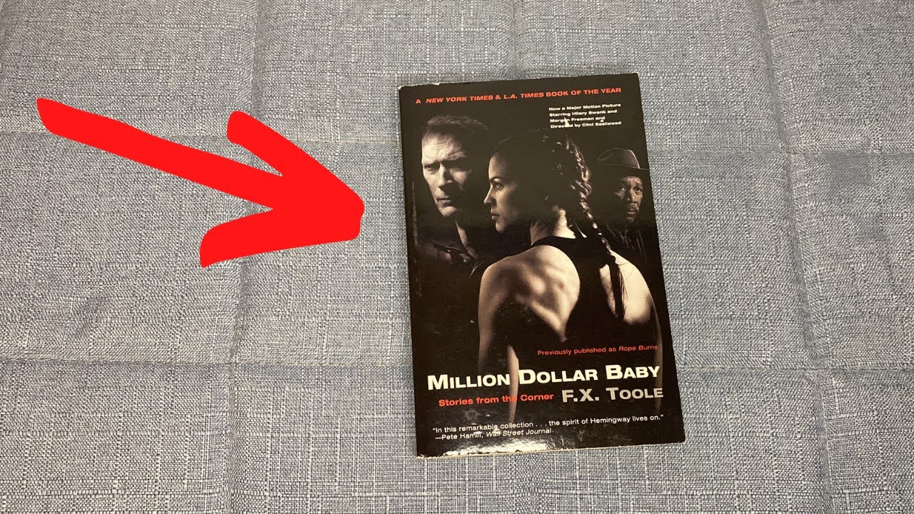 Million Dollar Baby: Stories from the Corner by F. X. Toole - 1 Minute Review