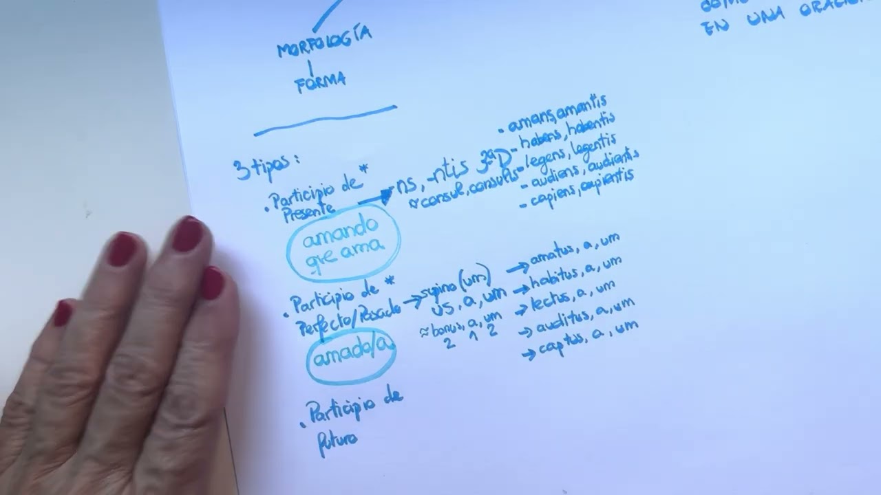 Participios 1ª parte