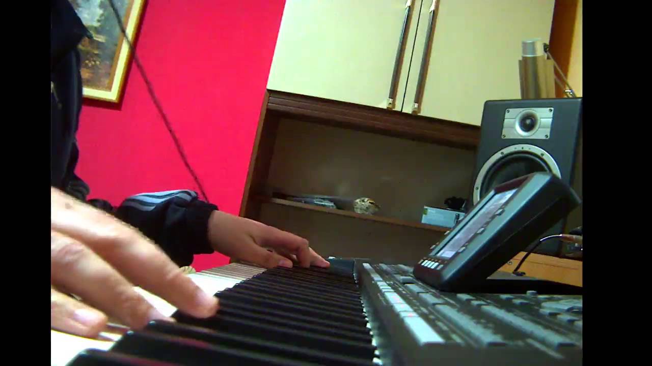 Sinan - Umrecu s' osmehom - KORG PA3X - Cover By VEX