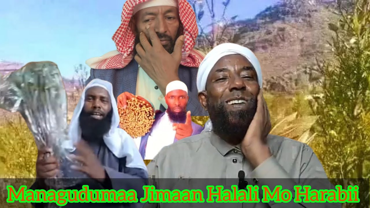 Sheikh Amin Ibro Magudumaa Sh Ali Jimmaa Fi Ummataa Jiduti Jimaan Iraa 20 October 2023