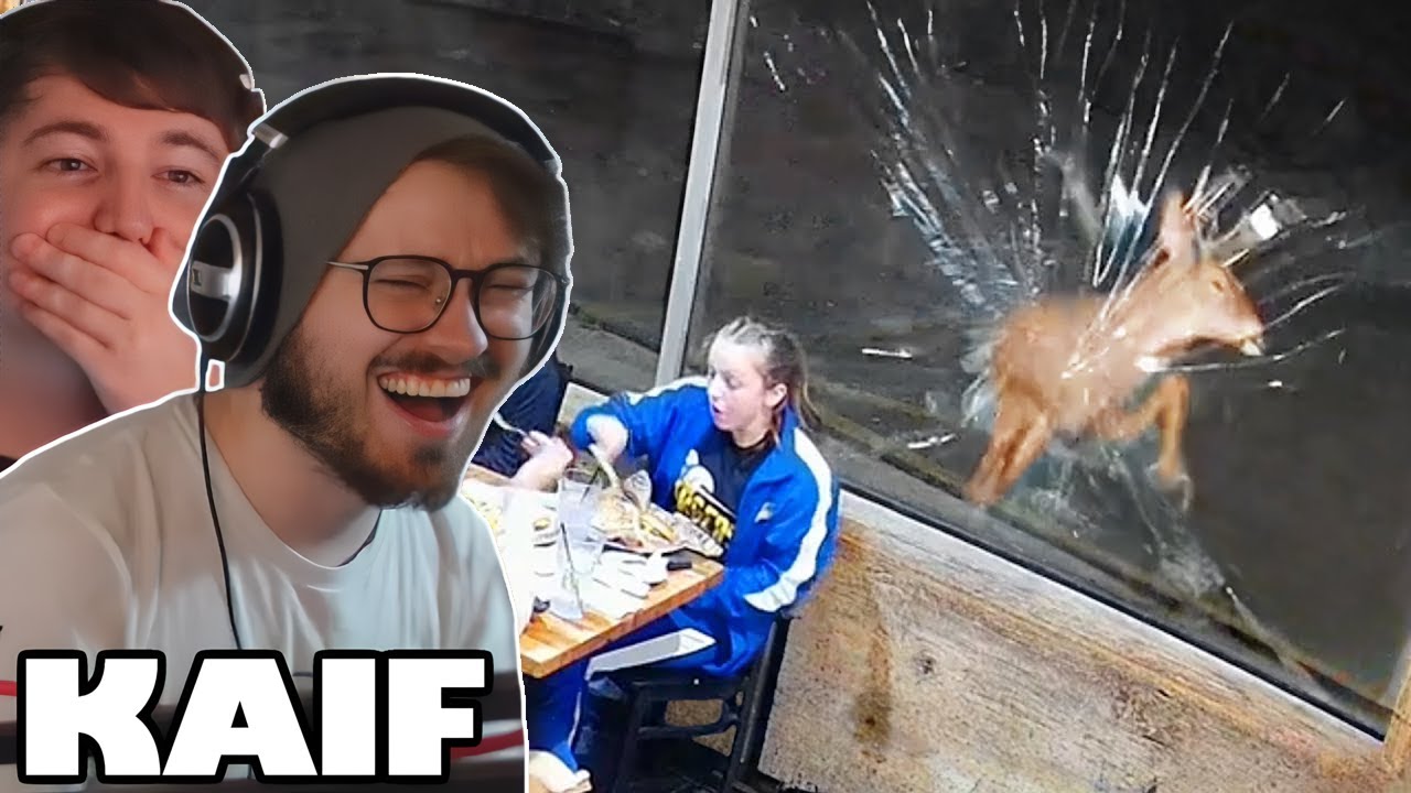 DAILY DOSE OF INTERNET MOMENTS THAT WILL LEAVE YOU AMAZED | NoBeans REACT