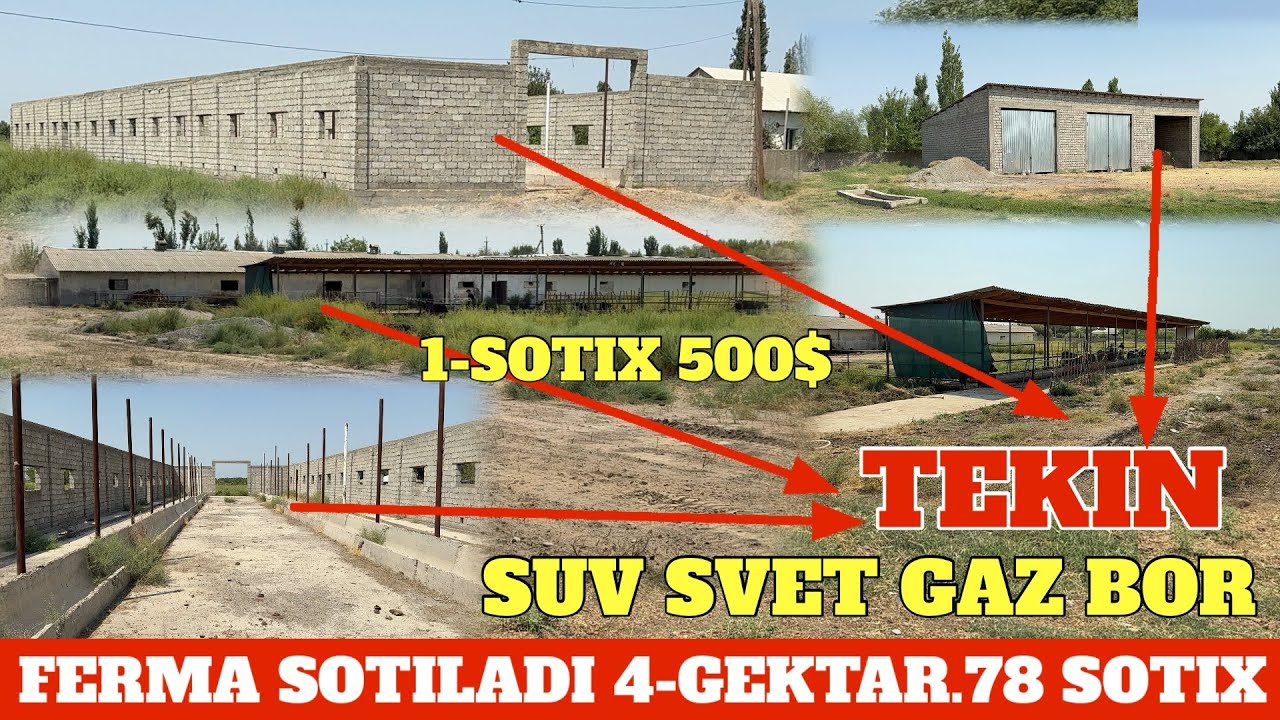 FERMA SOTILADI 5 GEKTAR 500$ SOTIGI ENG ARZON NOTURAR JOY. SUV SVET GAZ BOR