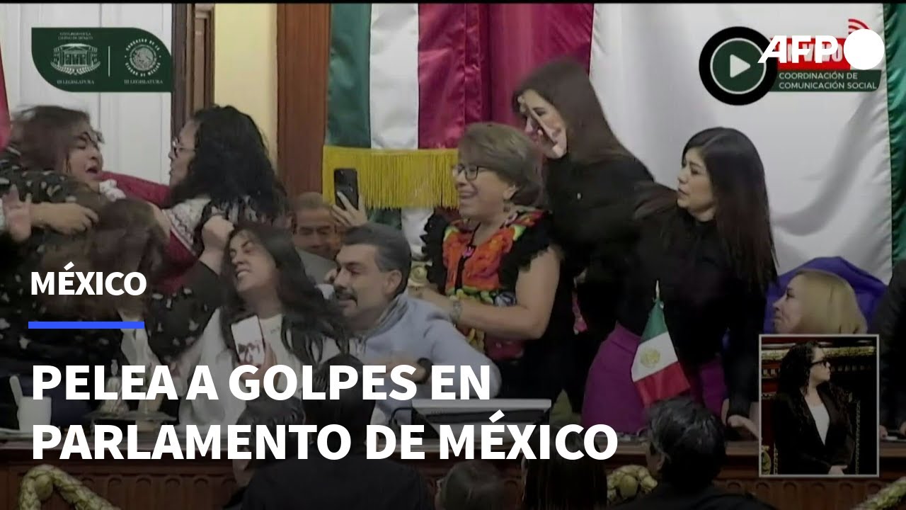 Diputadas se pelean a golpes y jalones de pelo en parlamento de Ciudad de M&eacute;xico | AFP