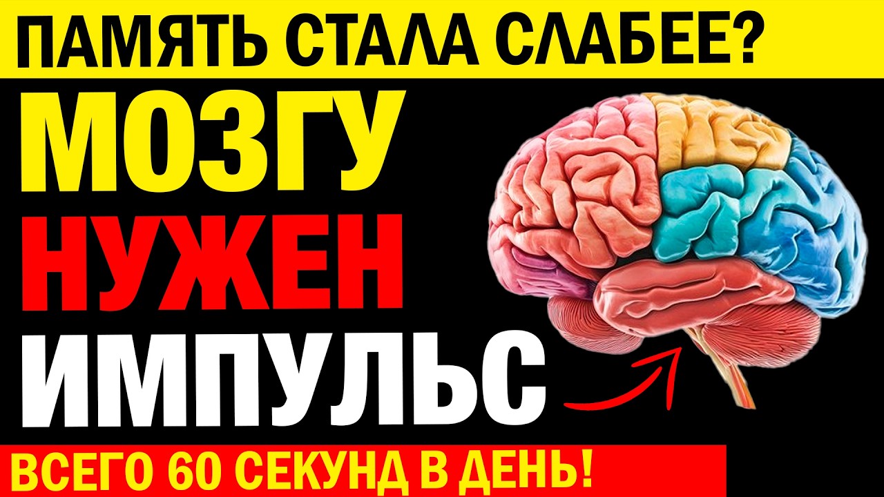Забываете ИМЕНА близких? Это не СТАРОСТЬ - ВКЛЮЧИТЕ МОЗГ за 60 секунд