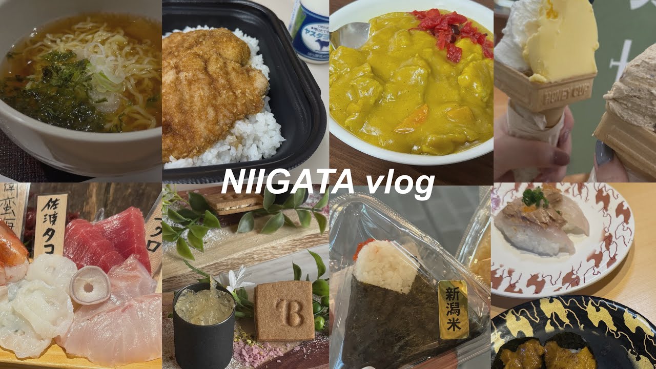 【新潟vlog】新潟初心者2人のグルメ旅🐟🍙M1ツアー🎙️1泊2日 | ドーミーイン🍜 