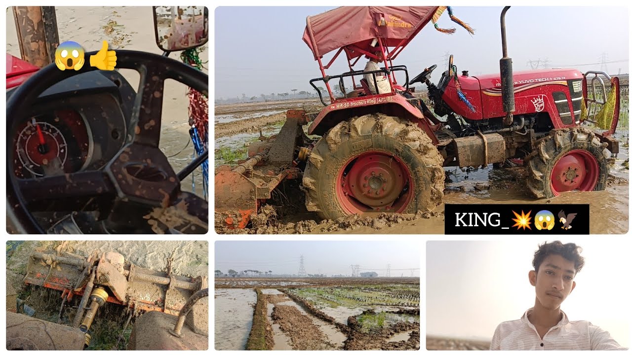 ফাইনালি গাইস।। King Take চাষের কাজে নামিয়ে দিলাম কেমন চলছে দেখো 💯🌱✅ ফুল অ্যান্ড পাওয়ার দেখালো ☠️😱