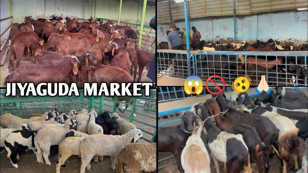 JIYAGUDA MARKET 🙏🏻🫨🚫😱 AVAILABLE IN HYDERABAD 
