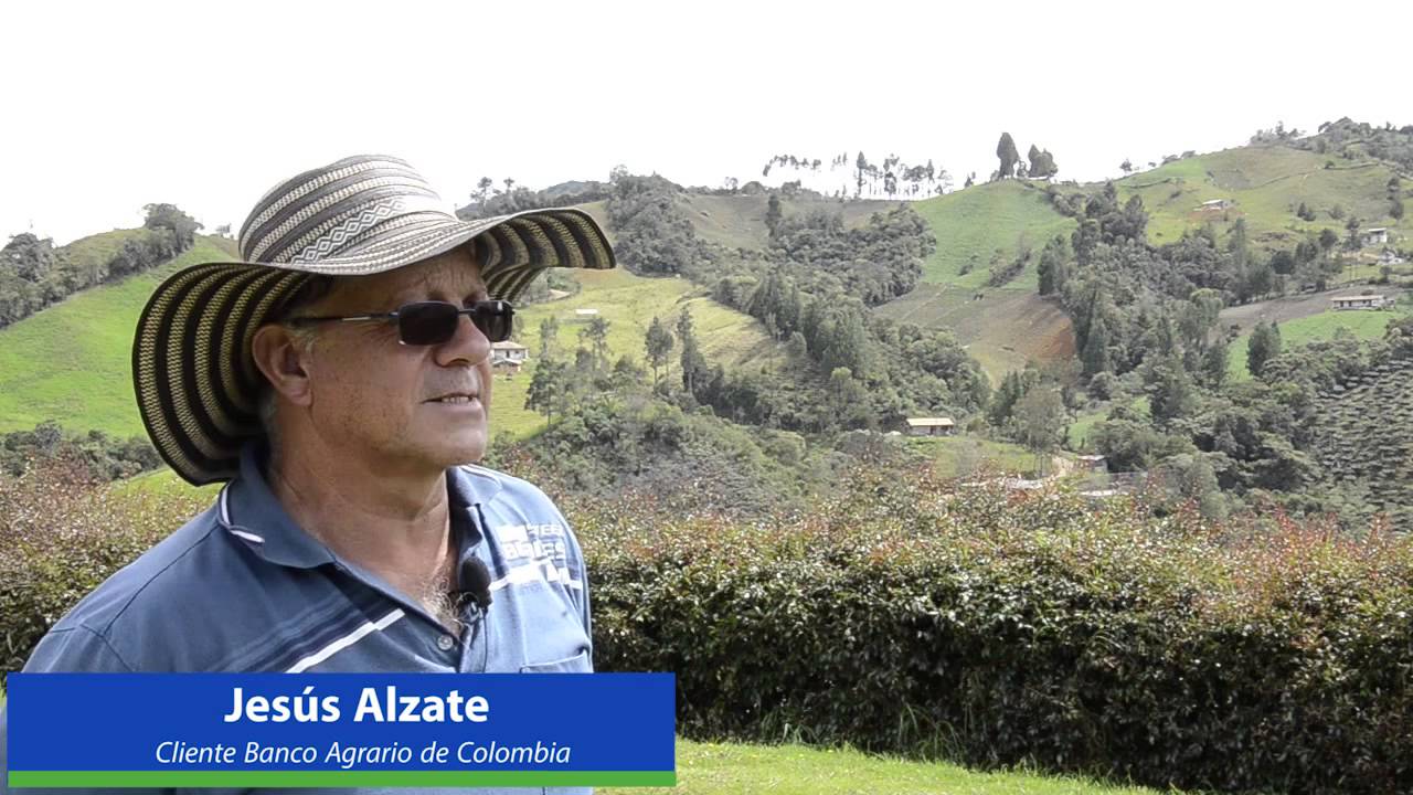 Con cr&eacute;ditos agropecuarios Banco Agrario, Jes&uacute;s Alzate pas&oacute; de cultivar a comprar ganado.