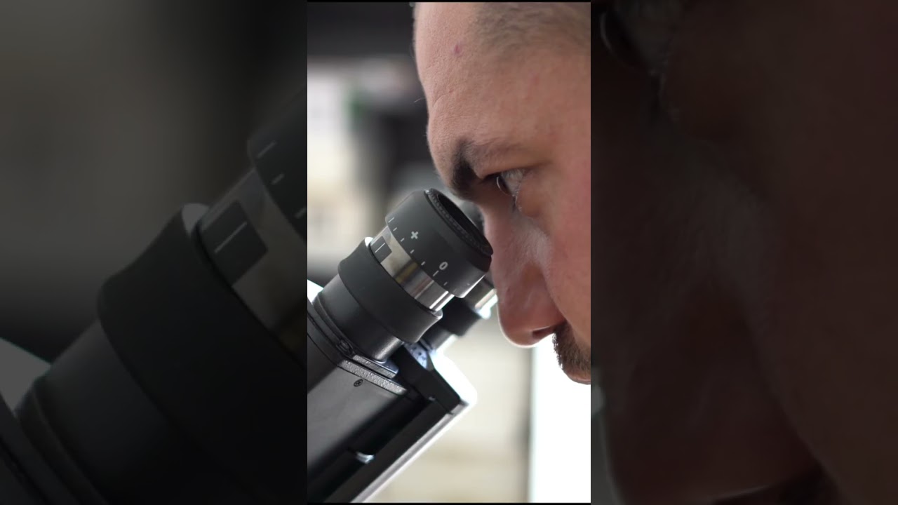 What Is Pathology? | The Basics of Medical Pathology Explained
