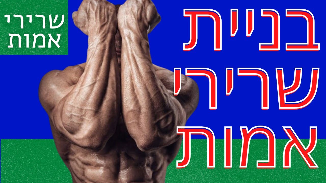 תרגילים לחיזוק עצמות האמה, איך להגדיל את האמות, חיזוק שרירי האמות, איך לחזק את האמות,אימון אמות בבית