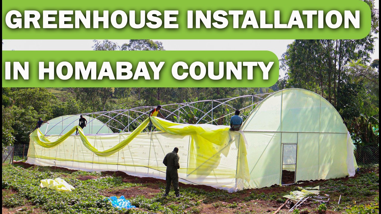 GREENHOUSE CONSTRUCTION IN  KENYA | 2026 STEP BY STEP