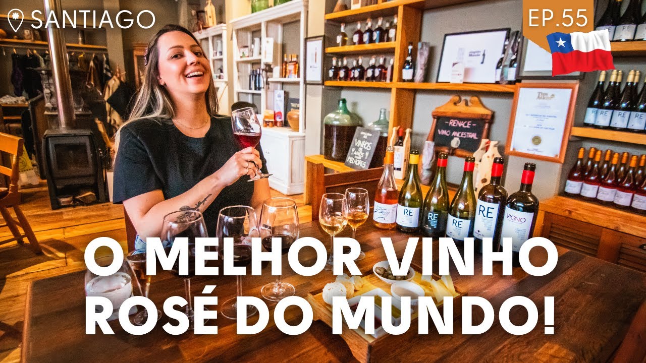 Vinhos no Valle de Casablanca: O melhor vinho rosé e uma vinícola no Chile que vale a pena conhecer