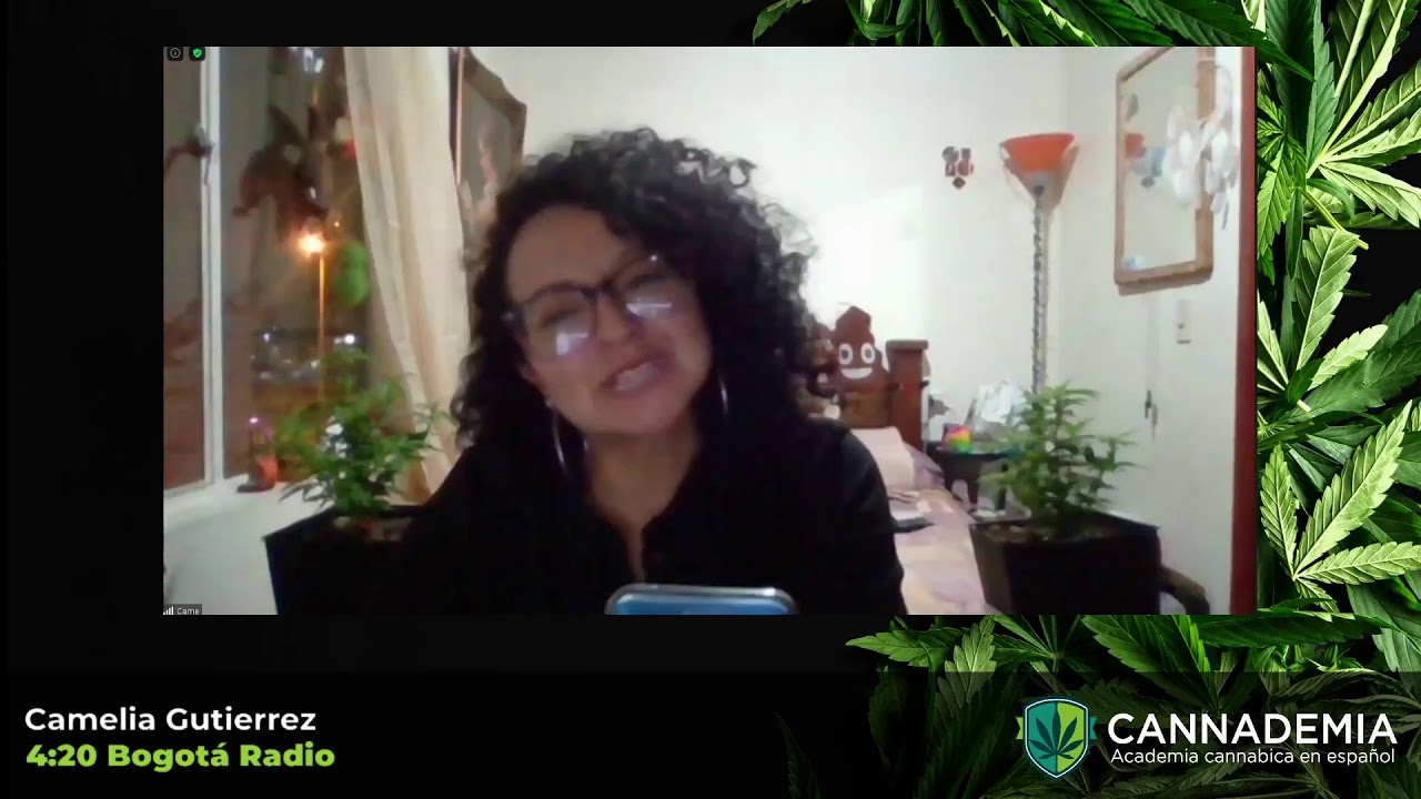 Cannademia Live Stream
