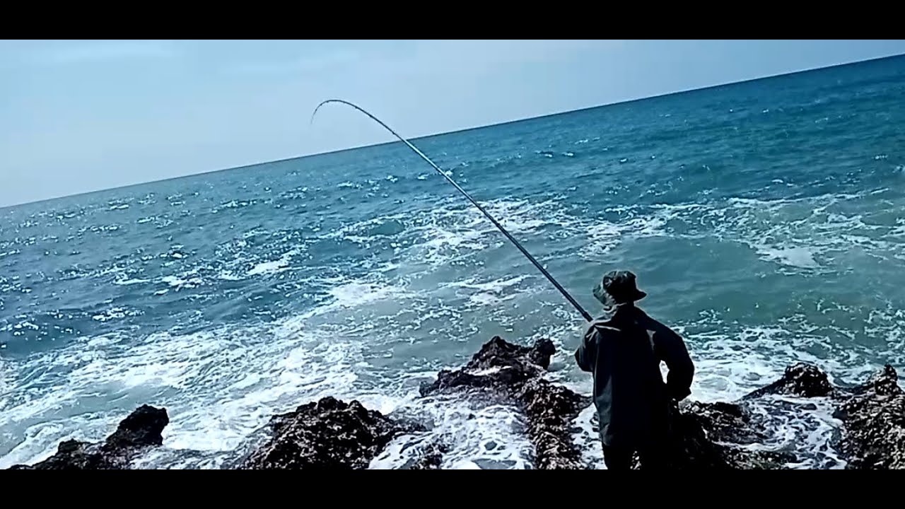 فرجه رائعه مع سمكه الزريقه بتقنيه السراب بالشقفه او بوزروقه والحصيله اللهم بارك وزد في ذلك