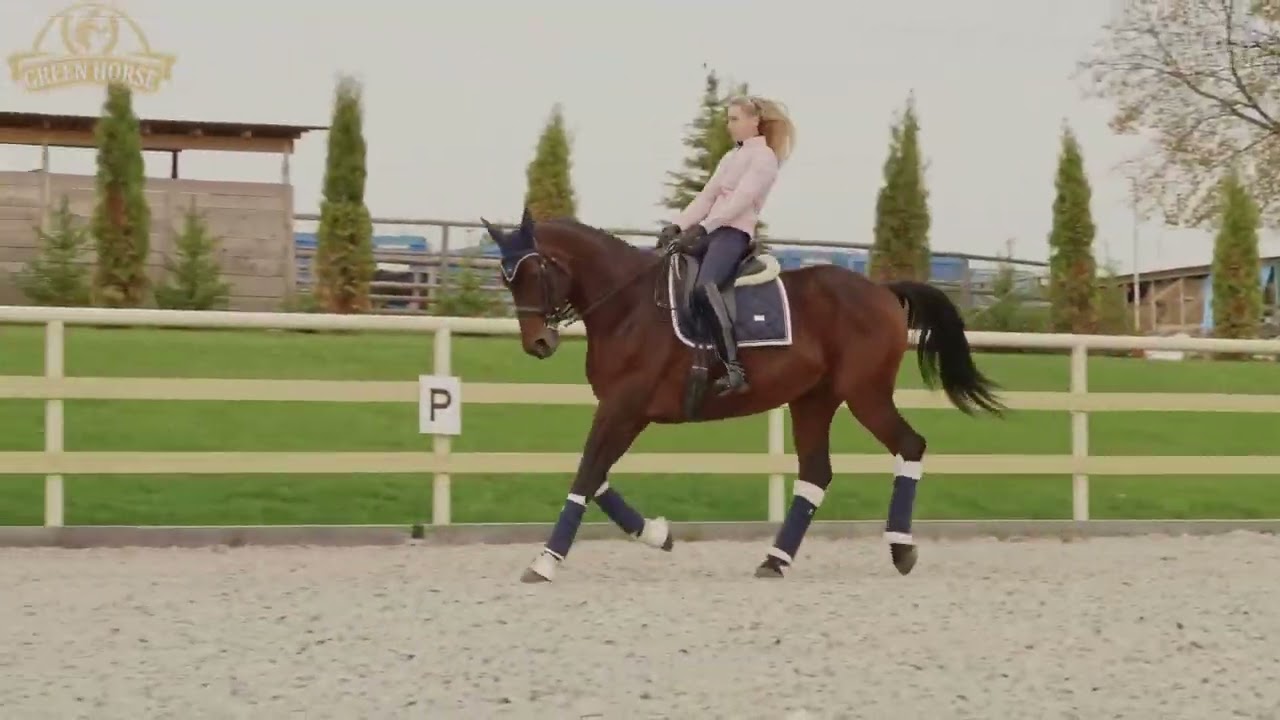 KSK Green Horse
