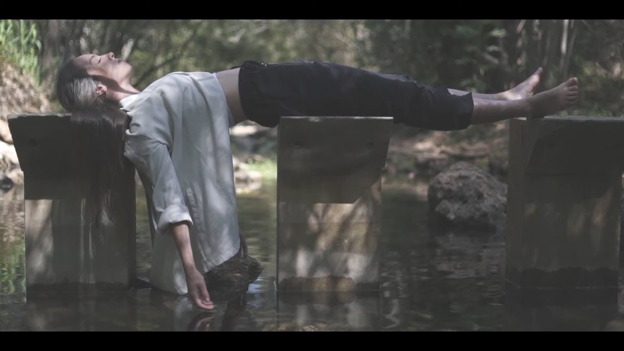 CEEYS - Reunion (Official Music Video) | HAUSMUSIK