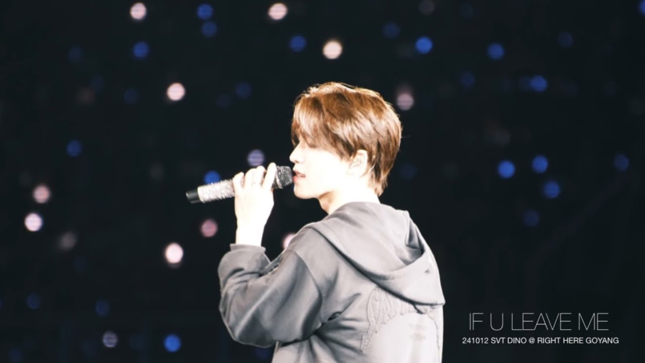 241012 세븐틴 디노 직캠 (SEVENTEEN DINO) - IF U LEAVE ME @ SEVENTEEN  [RIGHT HERE] GOYANG 세븐틴 롸잇히어 고양
