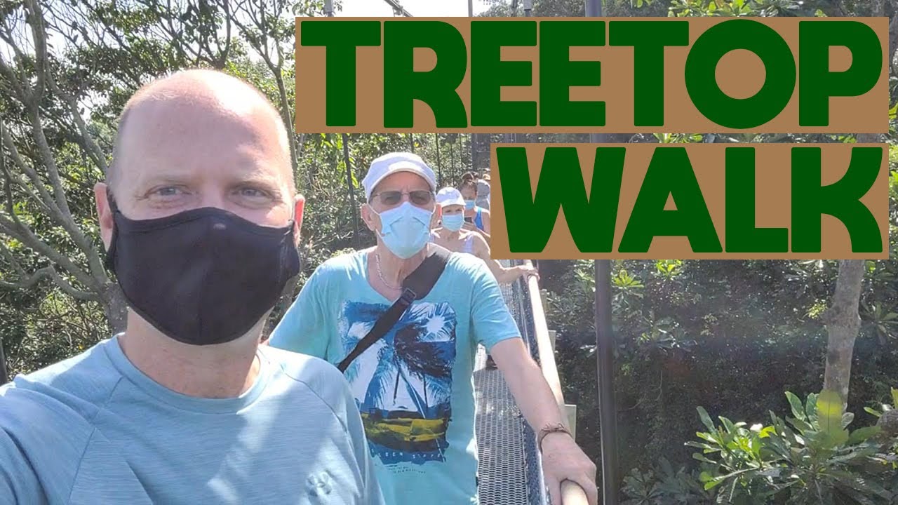 MacRitchie Treetop Walk - Newly Reopened!