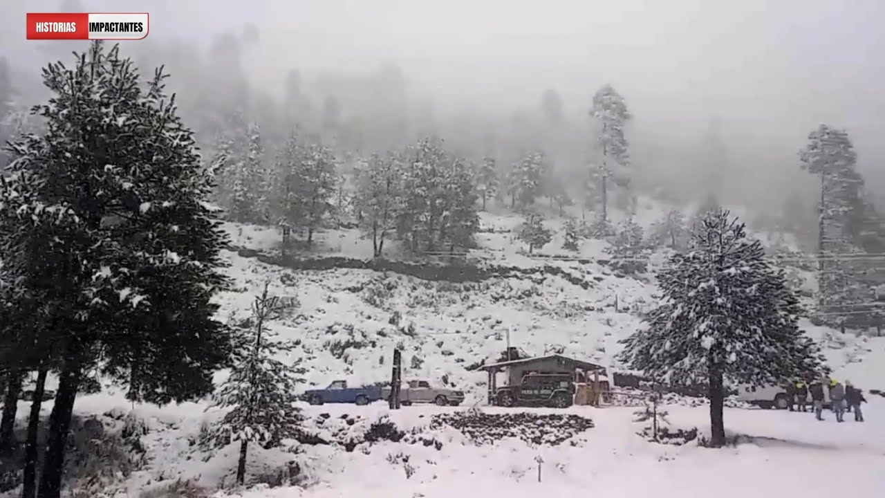 Extrema NEVADA EN EL NEVADO DE TOLUCA: Todo se CUBRI&Oacute; DE BLANCO, PARACE EL POLO NORTE 