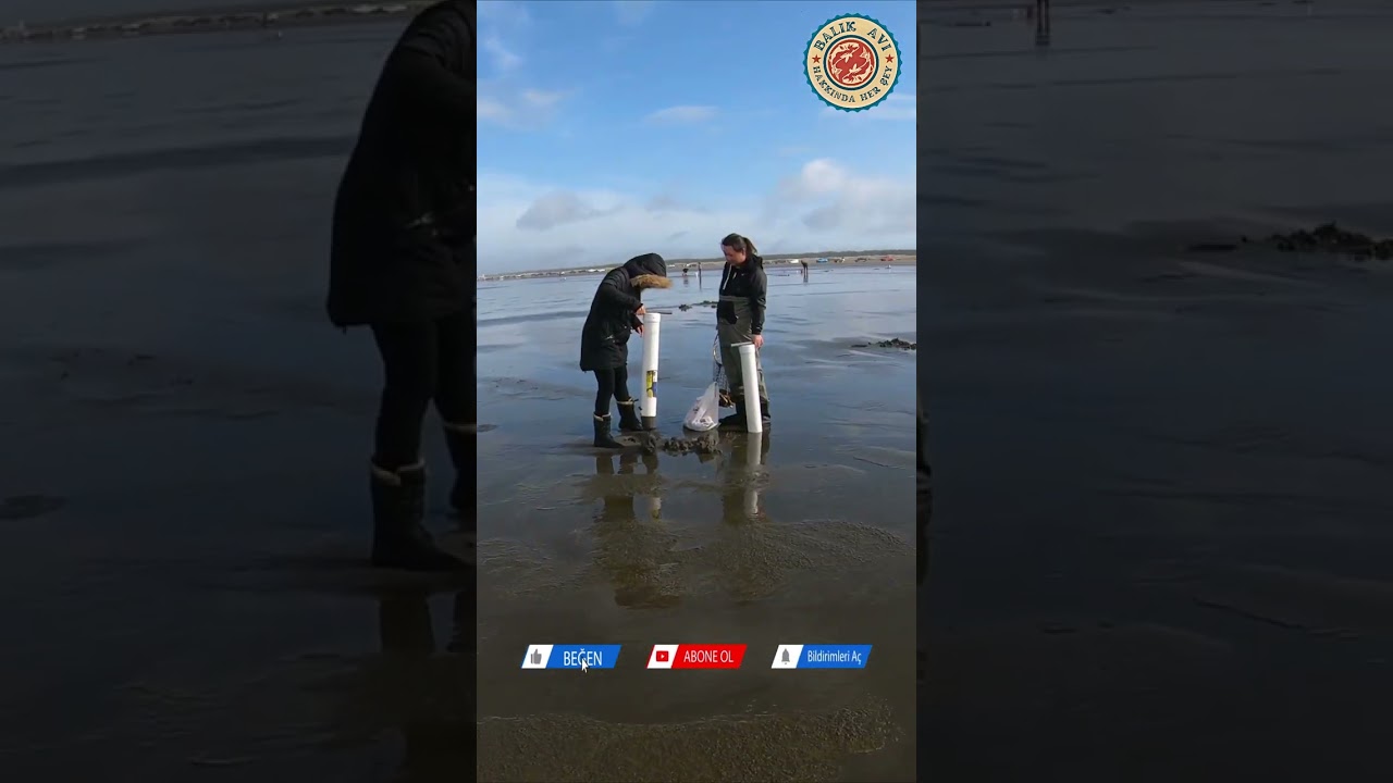 Kıyıdan Sülünez Toplama Teknikleri | Balıkçılıkta Doğal Yem Kullanımı