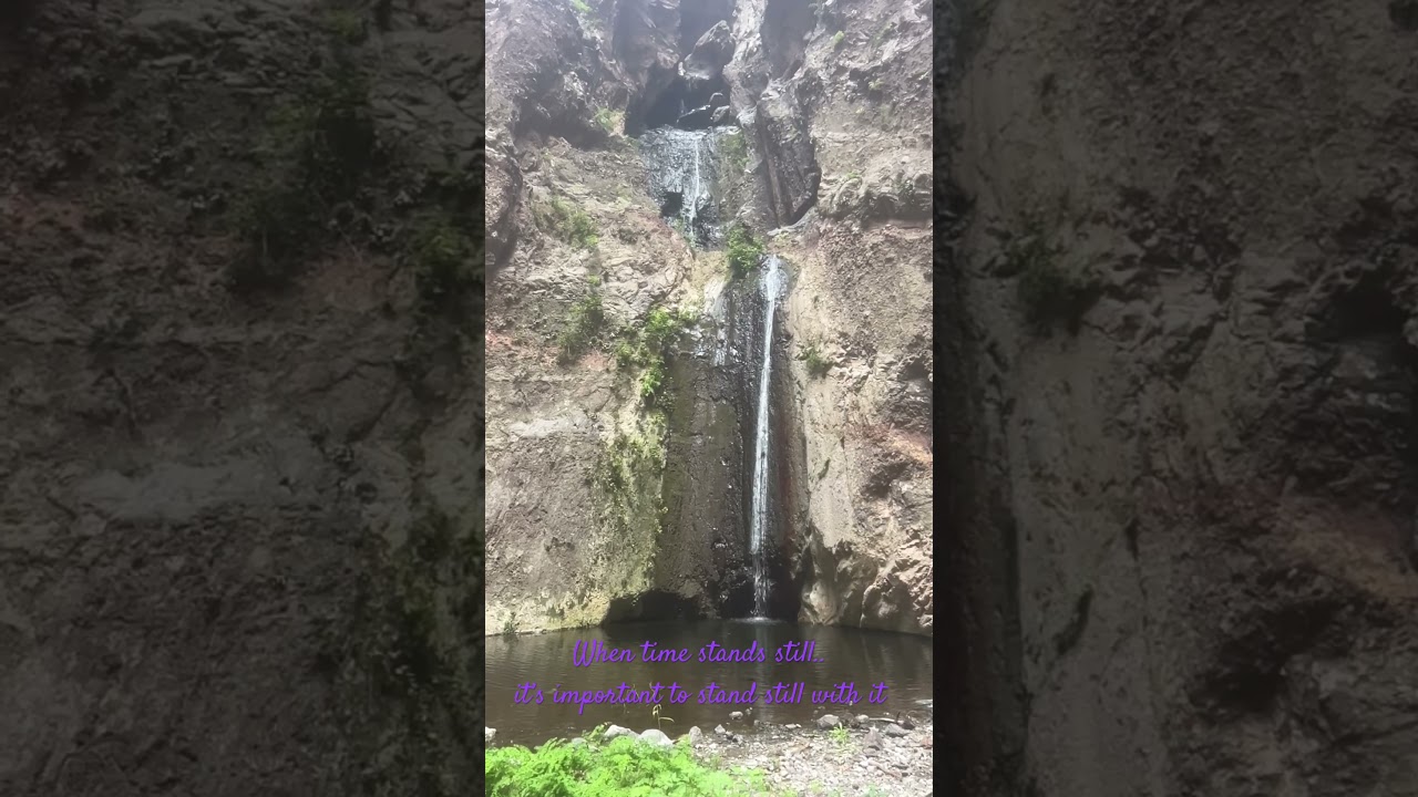 Stand still.. take in nature.. enjoy the small things #canaryisland #flowingwithdee