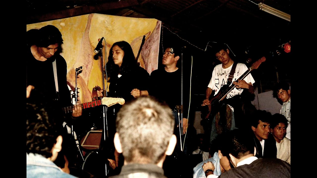 VOZ PROPIA 1/6/95.