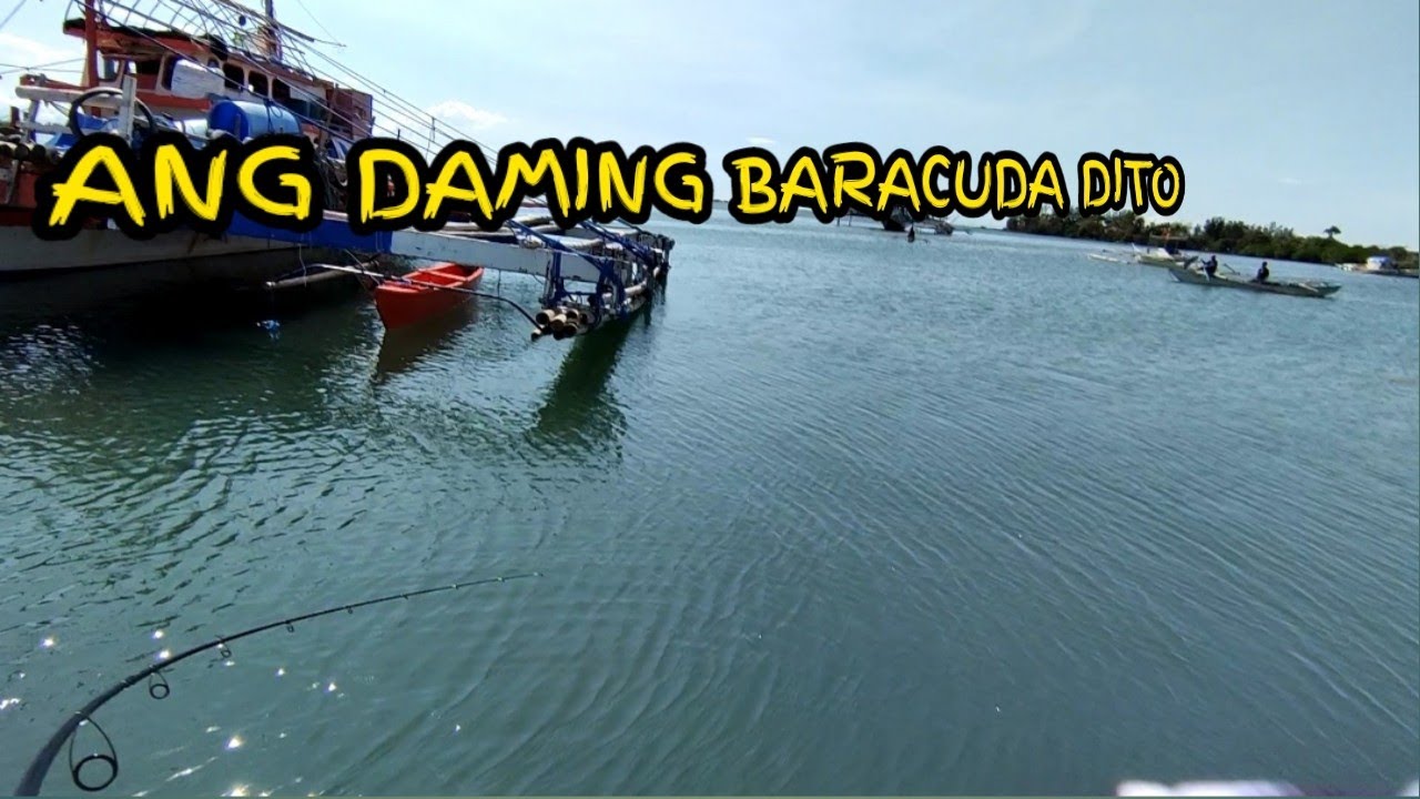 ML EP28 | ANG DAMING BARACUDA DITO | Fishing Port Of Calatagan, Batangas @Harabas