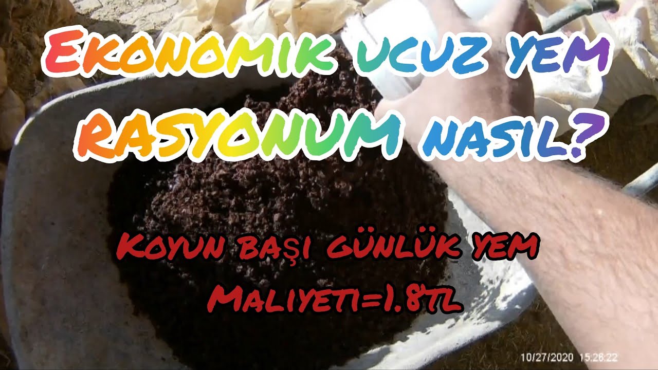 EKONOMİK KÜÇÜKBAŞ YEM RASYONUM👍