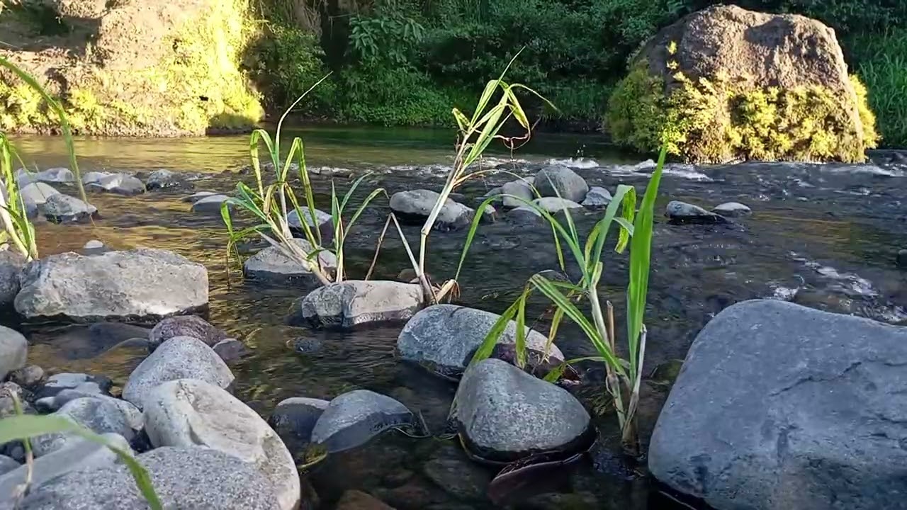Endless Stream Serenity – Calming Night Ambience for Mind Restoration