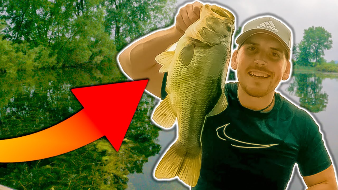How To Catch MORE BASS With Topwater Frogs