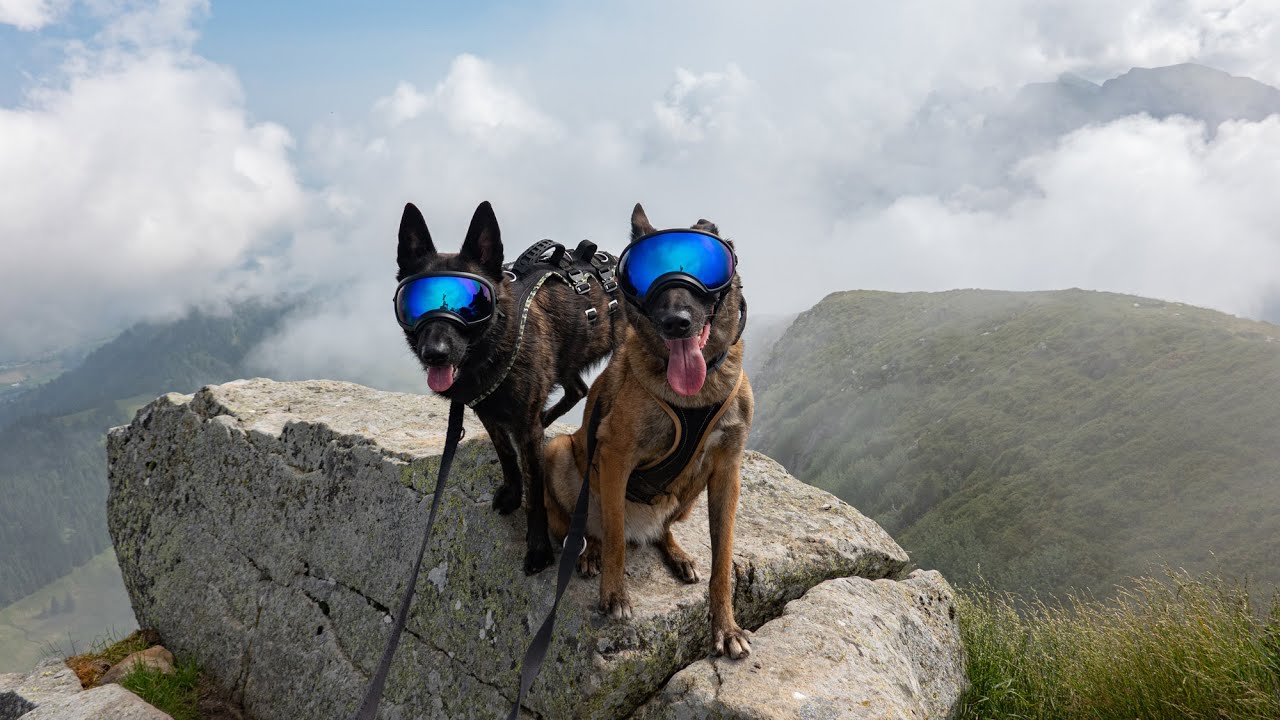 Gratwanderung Pilatuskette - Kiwi & Luna //2021
