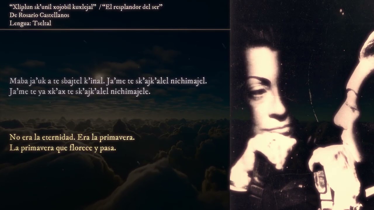 “Xliplun sk’unil xojobil kuxlejal” / “El resplandor del ser”