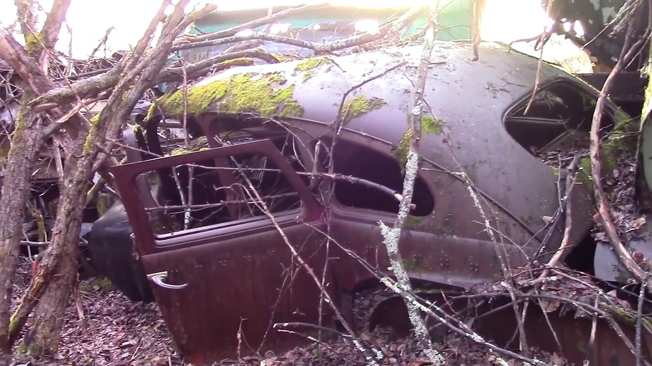 Abandoned cars found!