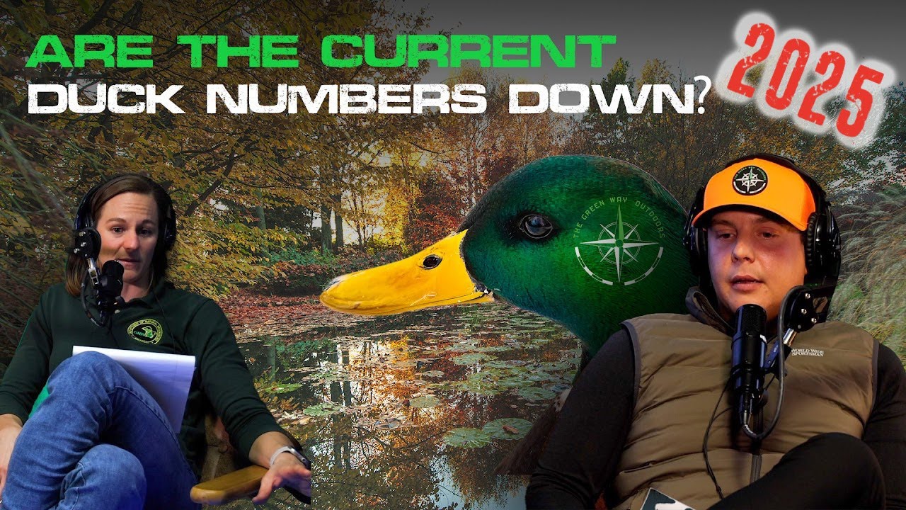 2025 Duck Population Report - Are Duck Numbers Going Down? - Green Way Podcast Clip