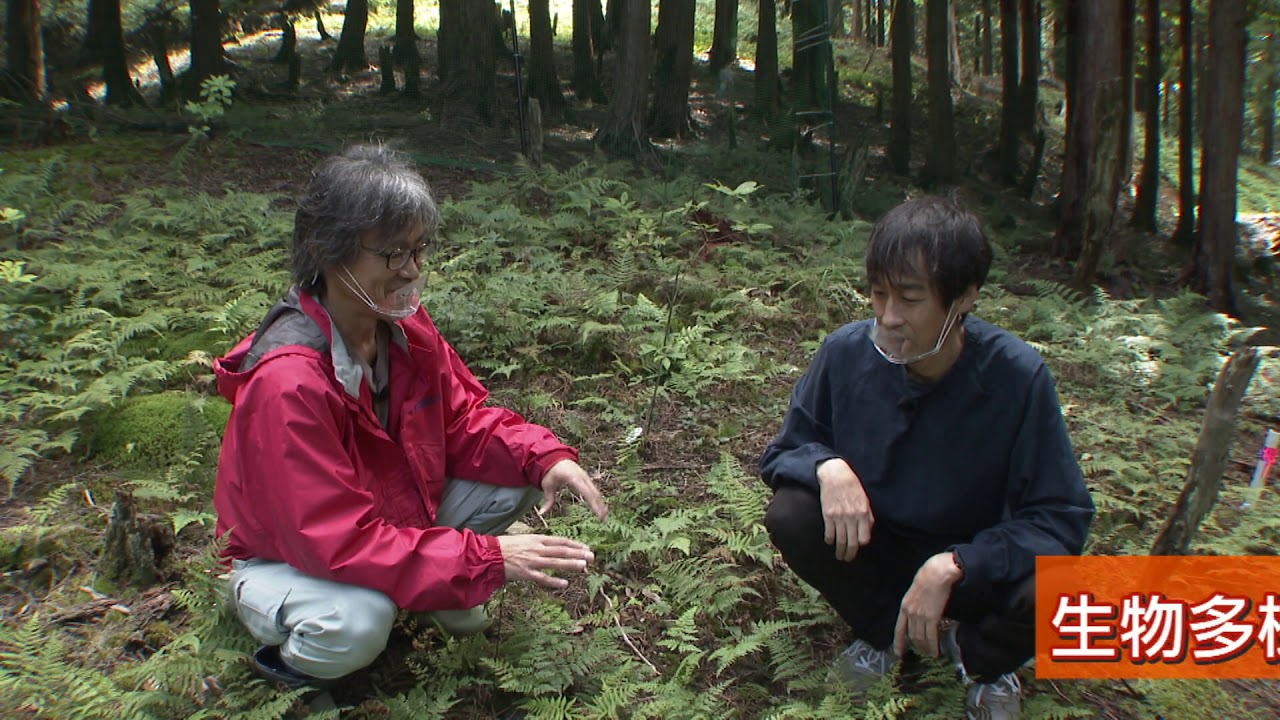 奈良の木PR動画【第４回・奈良の森林を次の世代へ】
