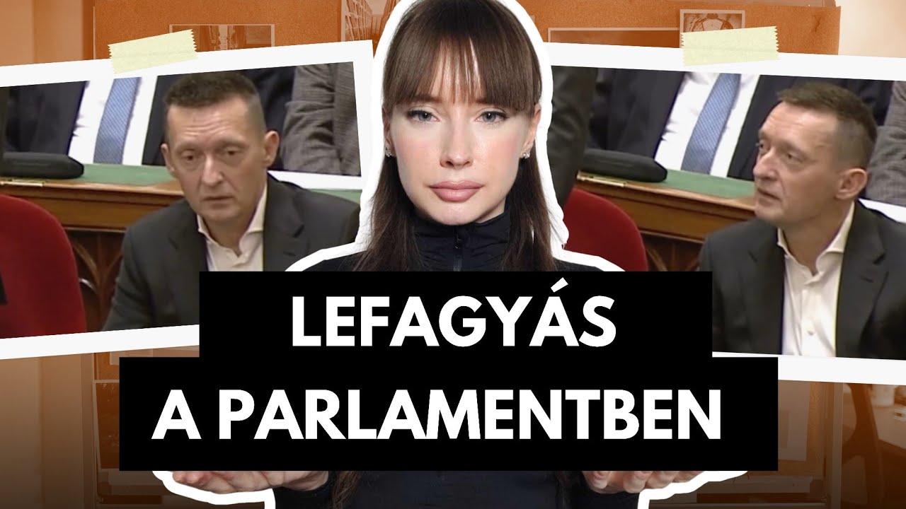 Rog&aacute;n Antal arckifejez&eacute;s&eacute;t elemzi a nyilv&aacute;noss&aacute;g. | T&oacute;th Bettina 