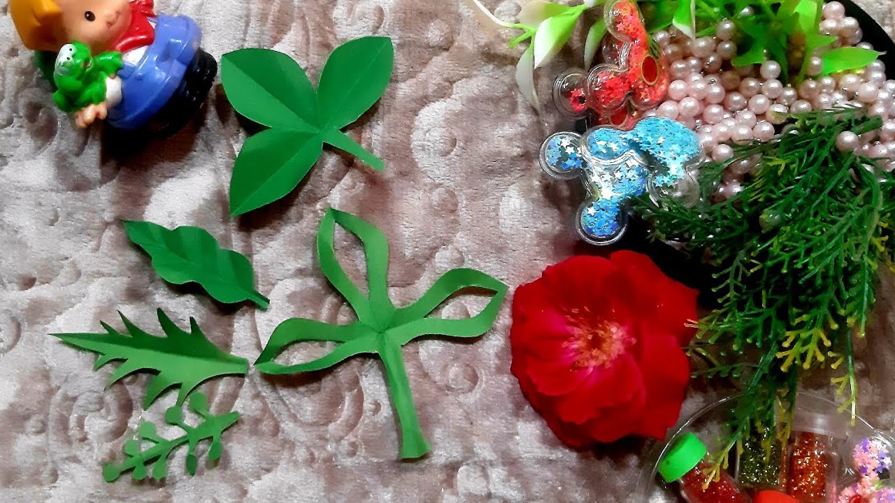5 different leaf cutting 