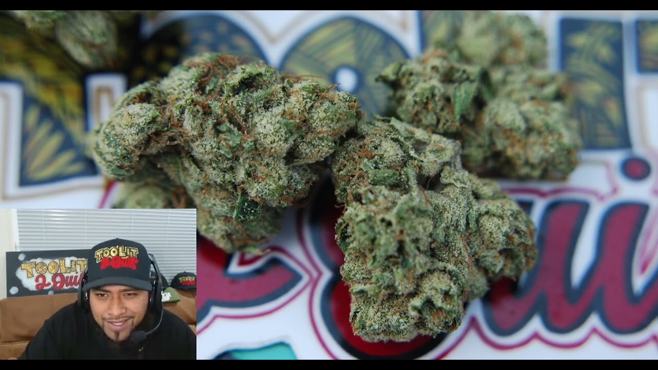 Legend OG Connected Cannabis Review #california #longbeach #polynesian #entrepreneur