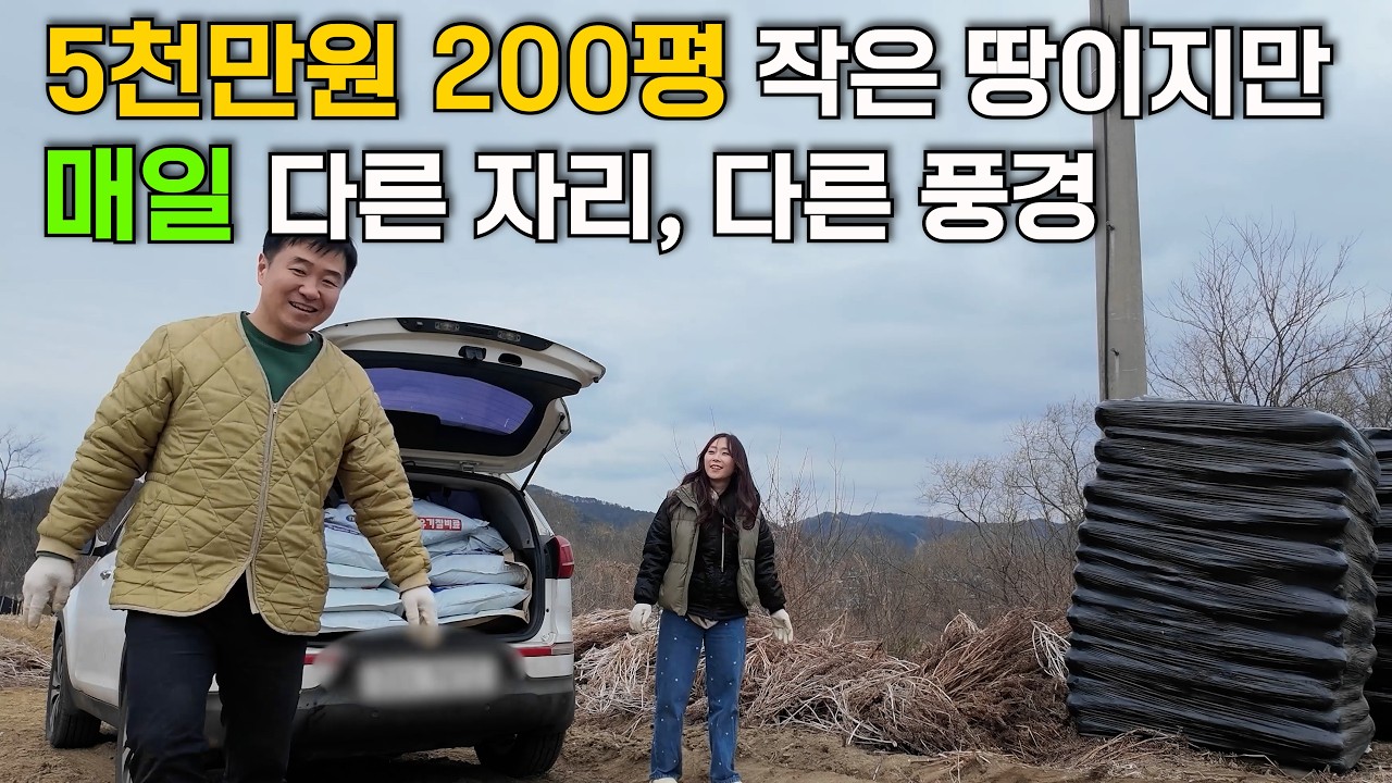 5천만원에 산 200평 작은 시골땅, 이렇게 쓰고 있습니다