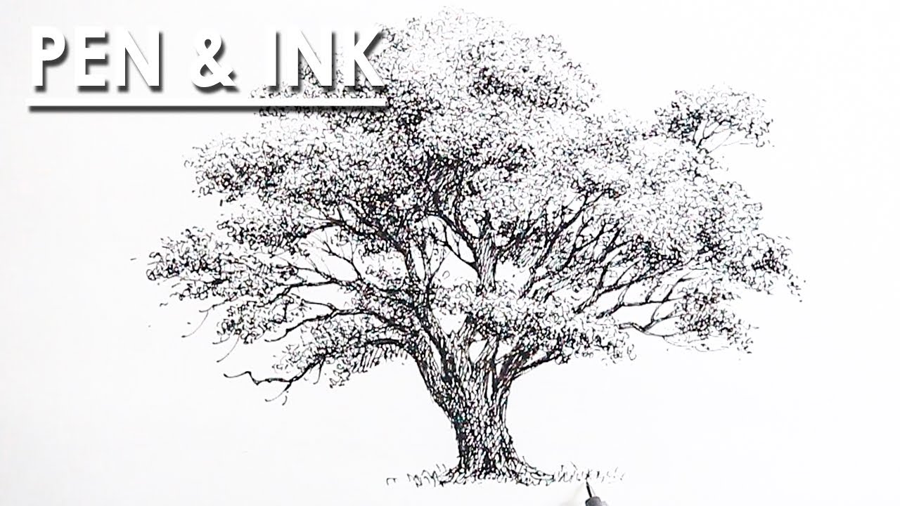 Pen and Ink Drawing : How to Draw Tree | shading techniques to follow