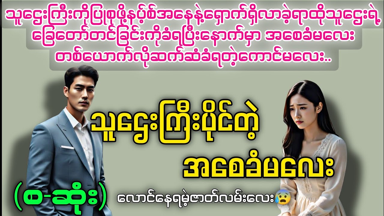သူဌေးကြီးပိုင်တဲ့အစေခံမလေး (စ-ဆုံး) #novelboxchannel  #audiobooks 