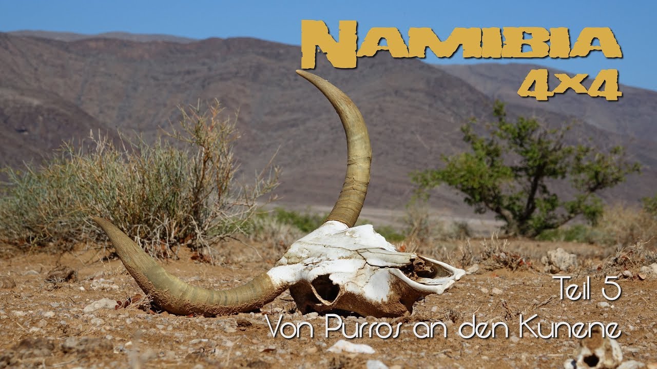Namibia in 4K - Teil 5 -  Von Purros an den Kunene
