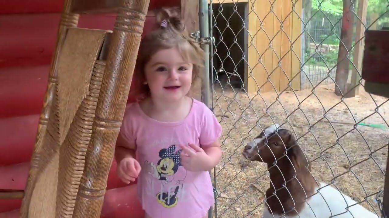 Koda,Kash and Babies